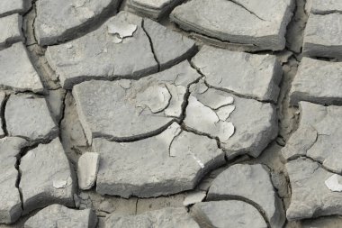 Normandiya 'da bir sahilde çamur çatlıyor