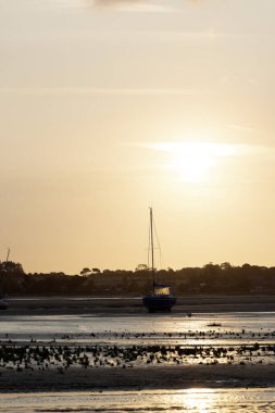 bir ikonik köy: Regnville ve kıyıları Kanal, Normandiya, Fransa