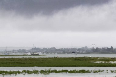 bir ikonik köy: Regnville ve kıyıları Kanal, Normandiya, Fransa