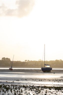 bir ikonik köy: Regnville ve kıyıları Kanal, Normandiya, Fransa
