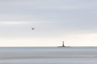 Snequet deniz fenerinde ya da Cotentin yarımadasında, Manche, Fransa 'da Kanal' da gün batımı