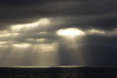 Snequet deniz fenerinde ya da Cotentin yarımadasında, Manche, Fransa 'da Kanal' da gün batımı