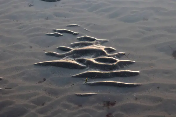 stock image ripple marks at low tide on a sandy beach on the Channel, Manche, France