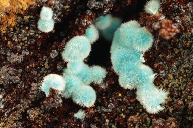 Laurion, Kamariza, Yunanistan 'dan Limonit Üzerine Rosasite Kaynağı