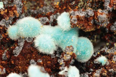 Laurion, Kamariza, Yunanistan 'dan Limonit Üzerine Rosasite Kaynağı