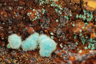 Laurion, Kamariza, Yunanistan 'dan Limonit Üzerine Rosasite Kaynağı