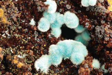 Laurion, Kamariza, Yunanistan 'dan Limonit Üzerine Rosasite Kaynağı