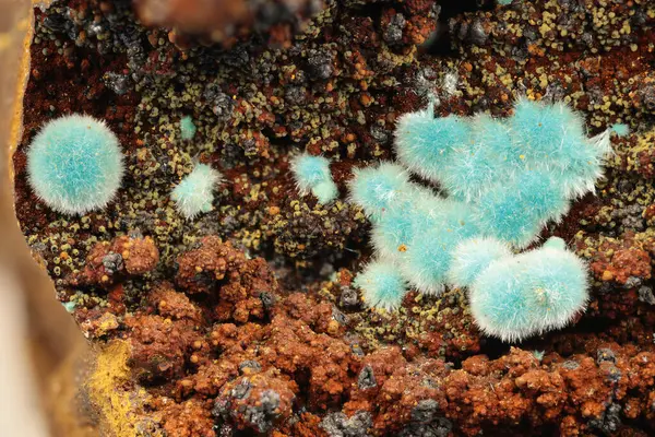 Laurion, Kamariza, Yunanistan 'dan Limonit Üzerine Rosasite Kaynağı