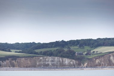Manzaralar ve Tebeşir uçurumları Fransa 'nın Kanal kıyısı boyunca, Normandiya