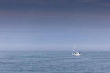 Manzaralar ve Tebeşir uçurumları Fransa 'nın Kanal kıyısı boyunca, Normandiya
