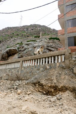 Eski şehrin şehri.