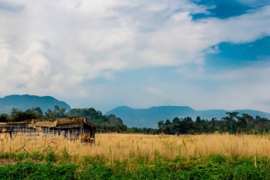 Ağacı ve dağı olan güzel bir manzara.