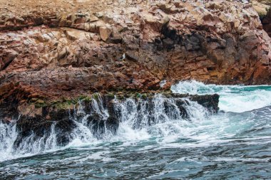 Deniz kıyısının güzel manzarası