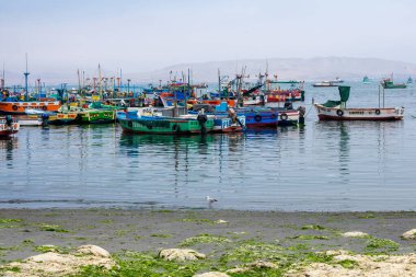 Limandaki balıkçı tekneleri ve balıkçı köyü, essaouira, Fas