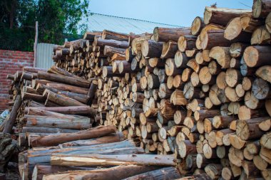 ahşap günlükleri yığını.
