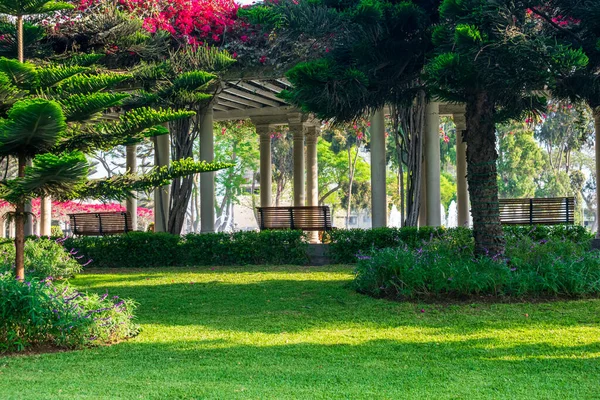 Parkın güzel manzarası