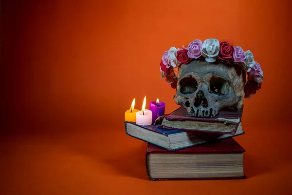 skull, skull, flowers and books on a pink background.