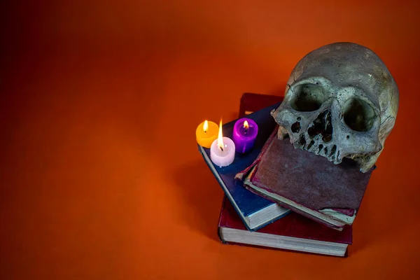 kafatası ve kitap kırmızı arkaplanda.