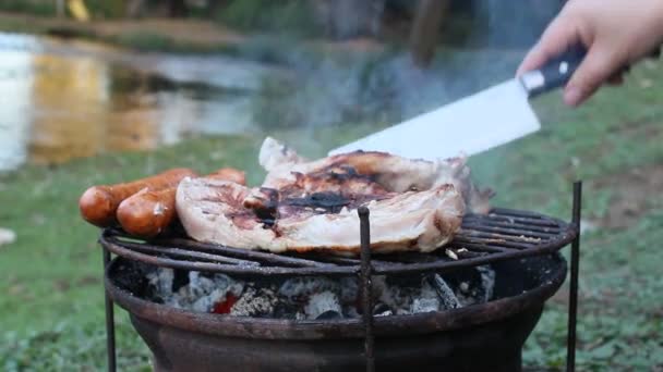 川で肉を焼く — ストック動画