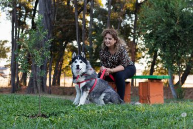 Sahibiyle parkta oturan iri yapılı bir köpek.