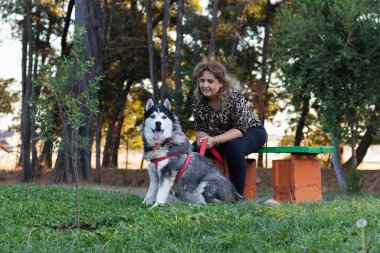 Sahibiyle parkta oturan iri yapılı bir köpek.