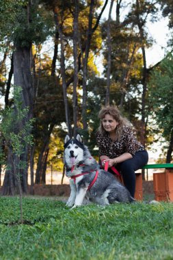 Parkta Latin bir kadınla oturan iri yapılı bir köpek.