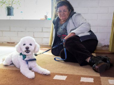 Yaşlı bir kadın köpeğiyle halıya oturuyor.