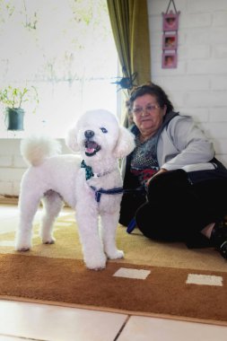 Yaşlı bir kadın köpeğiyle halıya oturuyor.