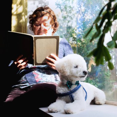 Yaşlı kadın köpeğiyle kitap okuyor.