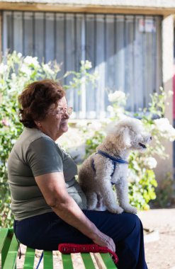 Yaşlı Latin bir kadın parkta evcil hayvanıyla oturuyor.