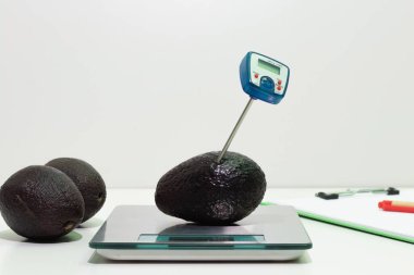 Avokado ünitesine yerleştirilmiş bir termometre, gıda güvenliği kavramı