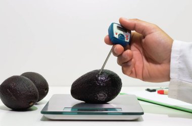Avokadoların sıcaklığını kontrol eden bir kişi, gıda güvenliği kavramı