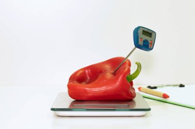 Kırmızı dolma biberde sıcaklık belirleniyor