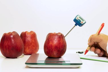 Bir elmanın sıcaklığını belirlemek, gıda kontrolü ve gıda güvenliği