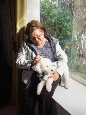 Latin yaşlı kadın evcil hayvanını okşuyor.