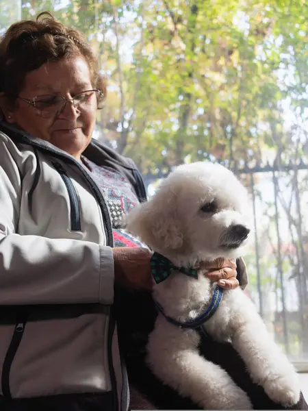 Yaşlı kadın evcil hayvanını okşuyor