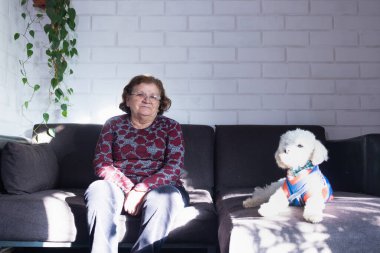 Kanepede köpeğinin yanında oturan yaşlı Latin kadın.