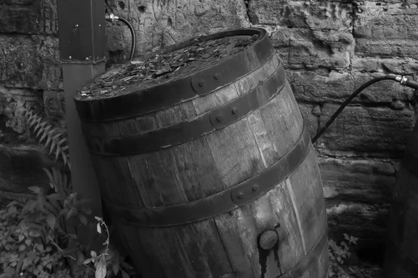 Old wood barrel for water collection