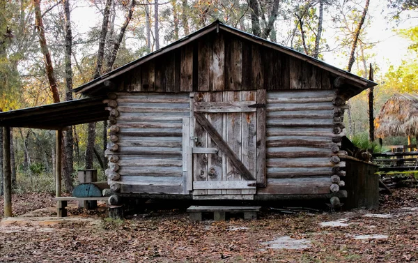 A locked shed in the woods during the daytime in Florida