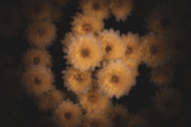 Baground doğa dağı ve hayvanlardan arındırılmış