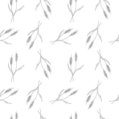 Cute seamless repeating pattern with ears of wheat on a white background. Floral ornament with an ear of wheat. Hand drawn. Delicate pattern, minimalist style, sketch