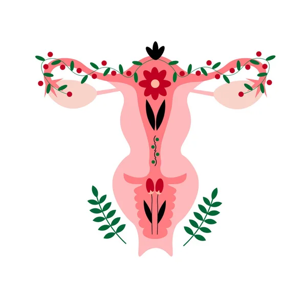 Beautiful Female Reproductive System Flower Petals Women Gynecology Anatomical Female — Archivo Imágenes Vectoriales