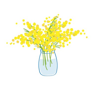 A pretty jar with a bouquet of yellow mimosa flowers. Flat illustration on isolated background.Vector