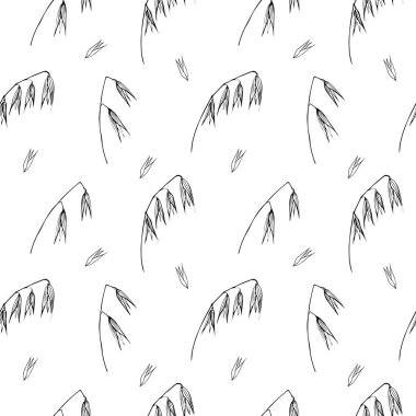 Cute seamless repeating pattern with ears of oats on a white background. Floral ornament with an ear of oats, floral motif.Ornament in a minimalist style.Drawn by hand.Vector