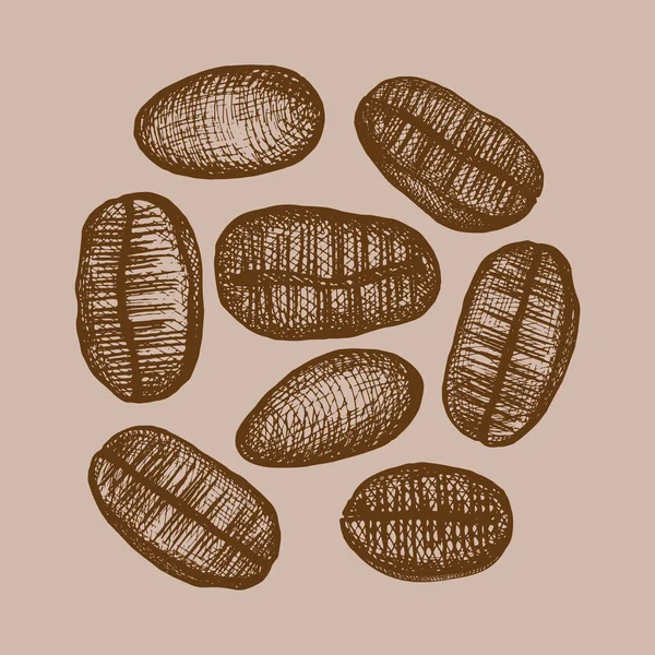 コーヒー豆のイラスト 熟したコーヒー豆の手描きのイラスト コーヒー色 デザイン要素 — ストックベクタ