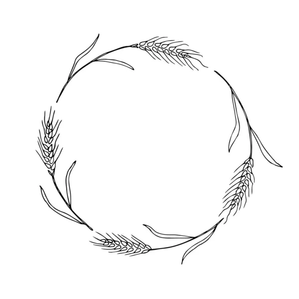 Wreath Frame Ears Wheat Bunch Ears Wheat Dried Whole Grains — Stock Vector