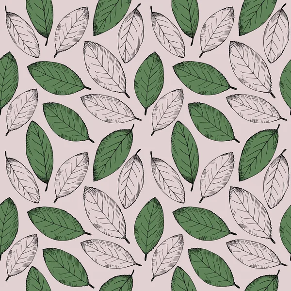 ベイリーフとシームレスなパターン 月桂樹の葉で背景を繰り返します 手描きイラスト デザイン要素 ベクトル — ストックベクタ