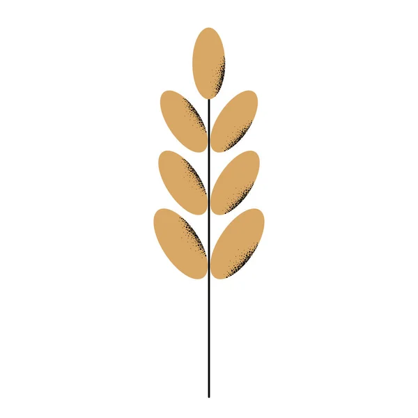 Векторные Ручные Колосья Пшеницы Уши Пшеницы Сушеные Цельные Зерна Урожай — стоковый вектор