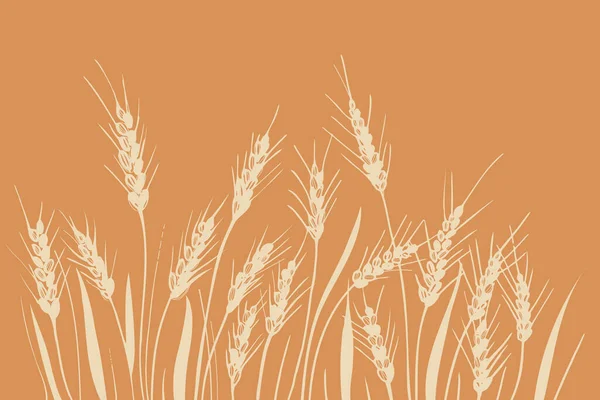 麦穗田 麦穗厚实 谷粒干透了 谷物收获 有机耕作 麦穗的背景是手绘的 设计要素 — 图库矢量图片