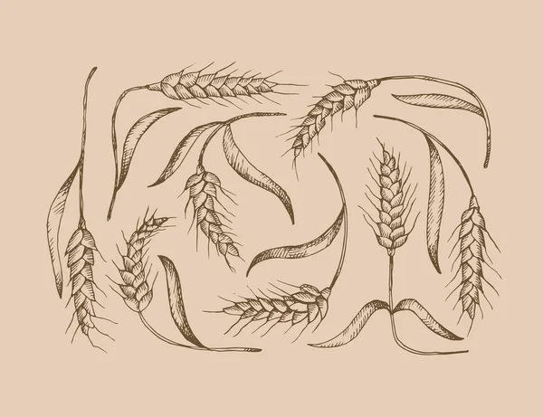 小麦の耳のフィールド 小麦の耳のヒープ 全粒穀物を乾燥させます 穀物の収穫 有機農業 手描きの小麦の耳からの背景 デザイン要素 ベクトル — ストックベクタ